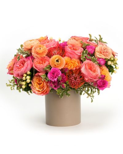 Enchanting Apricot