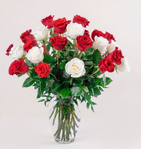 Double the Dozens 12 = 24 Assorted Roses