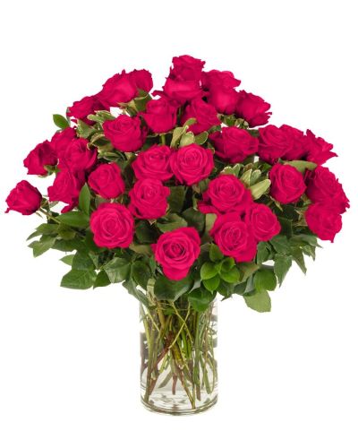 Double the Dozens 18 = 36 Hot Pink Roses