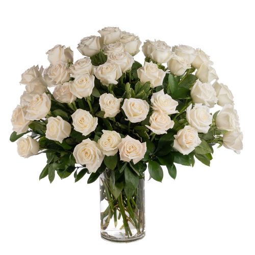 Double the Dozens 24 = 48 White Roses