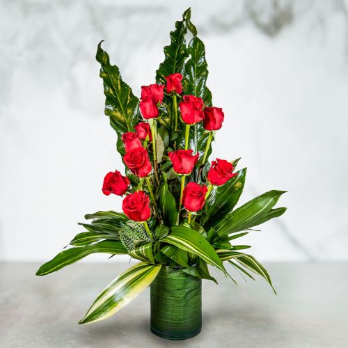 One Dozen Roses Contemporary - Red
