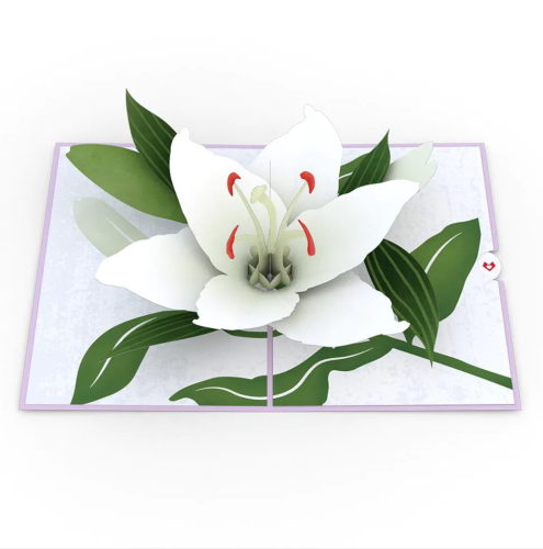 Love-Pop 3D Card - With Deepest Sympathy