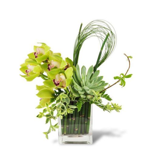 Succulent Orchid Zen Garden Vase