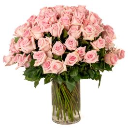 Prontable Pink Roses Stunning 75 Soft Pink Roses Arranged Beautifully