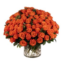 100 Orange Roses Designed Beautifully