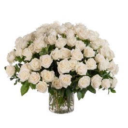 75 White Roses Arranged Beautifully