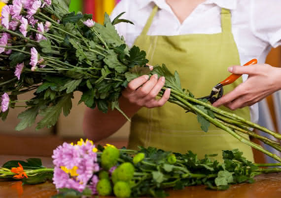 Cut Stems
