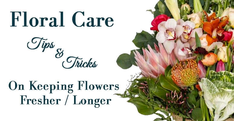 Floral Care
