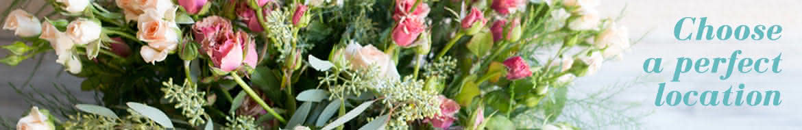 Location Flower